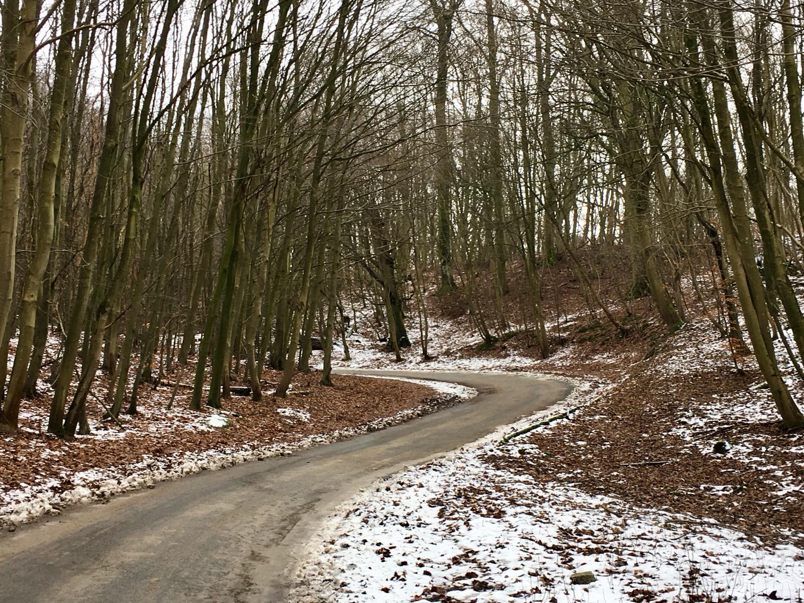 02 2019 Ausflug zum Tempelberg 02