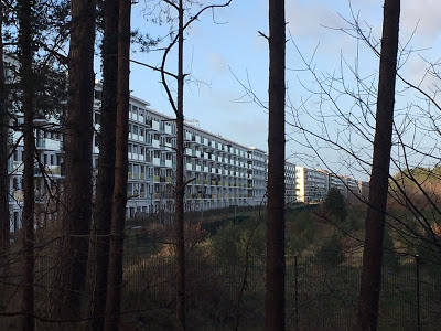 04 01 2019 Wanderung vom Haus Colmsee nach Prora 02