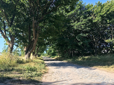 2017 Haus Colmsee Stortebekers Geburtsort auf Ruegen 01