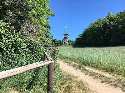 2018 Haus Colmsee beliebtes Wanderziel Lotsenberg Mnchgut 01